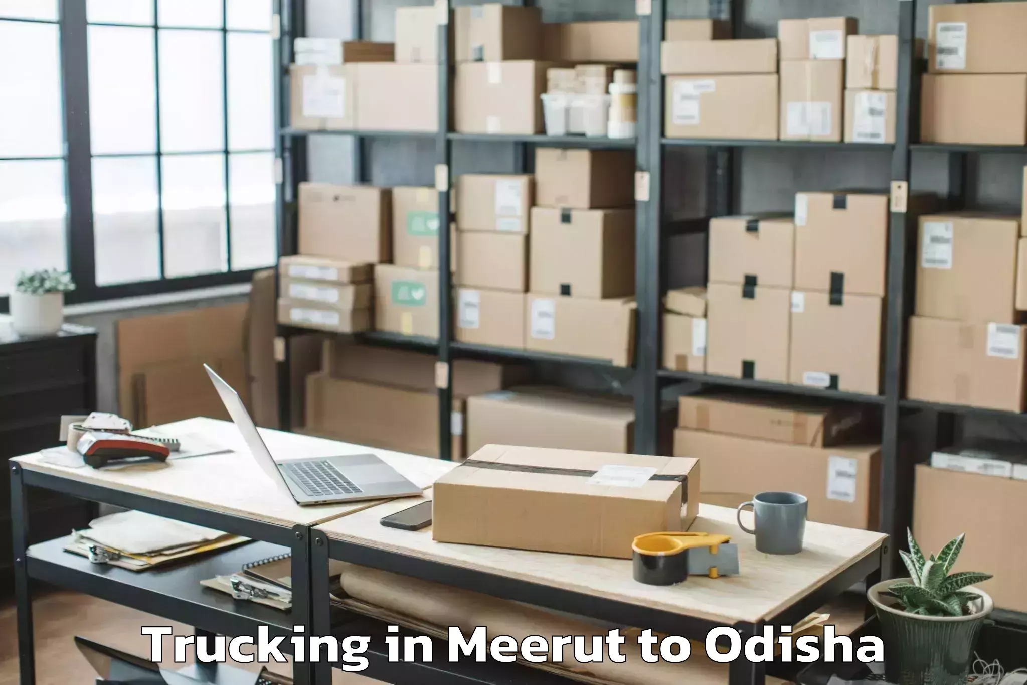 Affordable Meerut to Lephripara Trucking